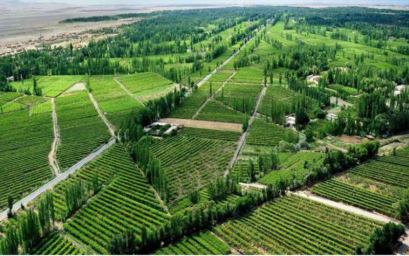 民盟酒泉市委員會(huì)調(diào)研組在我市調(diào)研