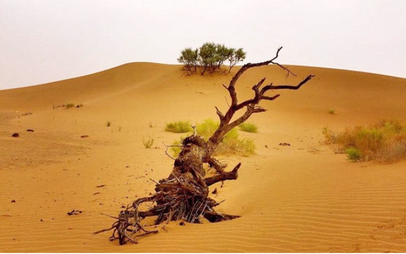 敦煌旅游進(jìn)入“高溫”模式